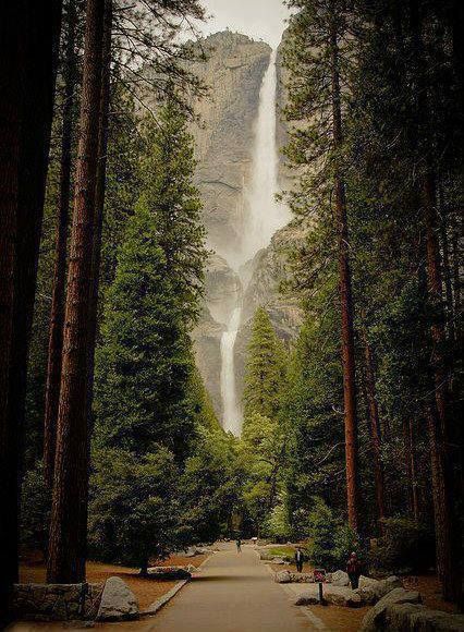 Yosemite Falls, Tall Trees, Destination Voyage, Beautiful Waterfalls, Alam Yang Indah, Yosemite National, Yosemite National Park, Pretty Places, Places Around The World