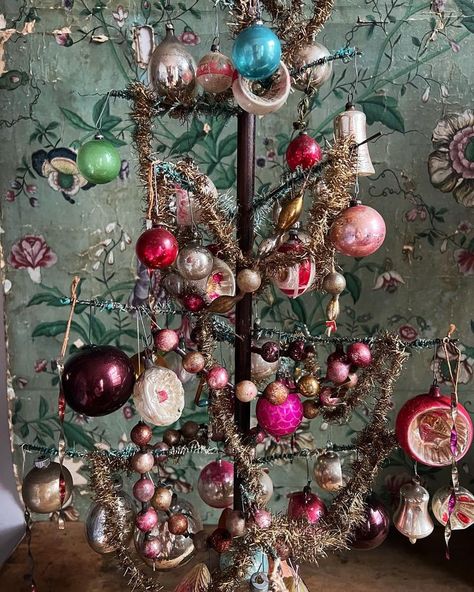 Moody Christmas, Charlie Brown Tree, Sugar Plums, Thriller Novels, Vintage Inspired Christmas, Vintage Christmas Gifts, Popular Christmas Gifts, John Derian, Good Old Days