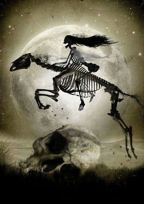 Skeleton girl riding a skeleton horse Orochimaru Wallpapers, Skeleton Art, A Skeleton, Creepy Art, Skull And Bones, Gothic Art, Horse Art, Skull Art, A Horse