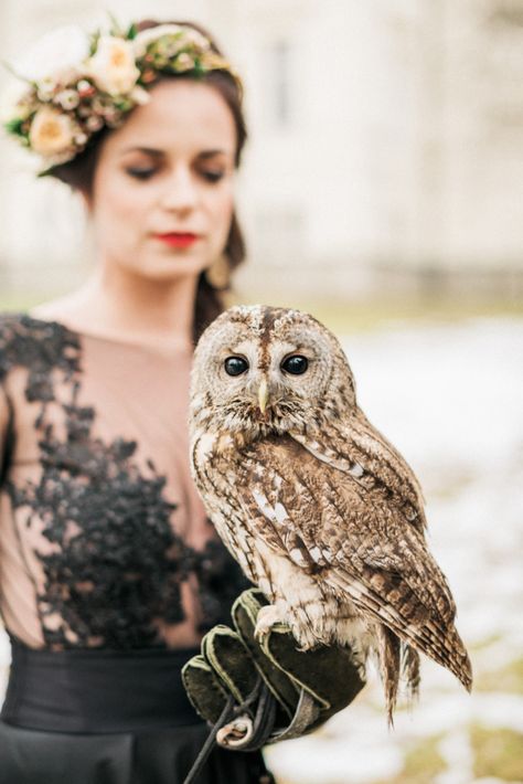 Nature Inspired Winter Wedding Ideas (With A Real Majestic Owl!) | Gabriela Jarkovská Photography 40 Hobbit Wedding, Fantasy Photoshoot, Marvel Wedding, Owl Wedding, Winter Wedding Ideas, Harry Potter Wedding Theme, Gorgeous Black Dress, Wedding Renewal Vows, Elegant Weddings