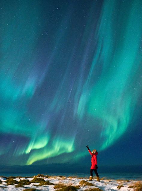 Iceland Aesthetic Northern Lights, Northern Lights Picture Ideas, Northern Lights Photoshoot, Nighttime Selfies, Dpz Quotes, Northern Lights Wallpaper, Northern Lights Photo, Northern Lights Photography, Light Movie