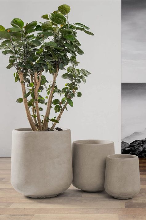 Transform your outdoor and indoor spaces into stylish havens with our Kante Round Concrete Planter Set. This set includes three contemporary planters in varying sizes: 15, 11, and 8 inches in diameter. Crafted from durable concrete, these large planter pots bring a touch of modern elegance to any patio, balcony, backyard, or living room. With their sleek and minimalist design, these planters effortlessly blend with various decor styles, making them versatile additions to your space. Weathered Concrete, Handmade Concrete Planters, Plant Pots Crafts, Concrete Planter, Handmade Plant, Concrete Color, Concrete Pots, Planter Pots Outdoor, Indoor Planter