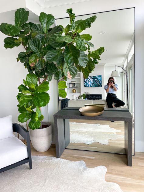 Console Table In Front Of Floor Mirror, Large Mirror With Plant, Mirror Behind Plant, Home Entrance Plant Decor, Plants On Entertainment Center, Plants Next To Mirror, Decorate Corner, Corner Decorating Ideas, Home Hall Design