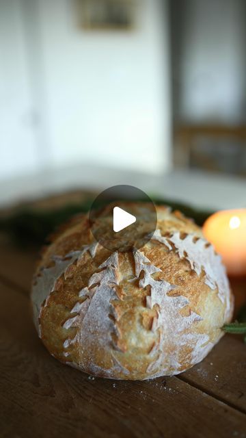 taylor beagle on Instagram: "CHRISTMAS TREE SOURDOUGH! This was SO EASY and turned out amazing! Simply score your dough into 8 sections and then snip the ends with small sheers creating small “trees” Bake and reveal the most beautiful Christmas trees surrounding your loaf! If you need a sourdough recipe mine is always linked in my bio!! #sourdough #sourdoughbread #sourdoughstarter #bakewithme #sourdoughbaking #sourdoughclub #christmasbread #christmasbaking #christmastree" Christmas Tree Scoring Sourdough, Christmas Tree Sourdough Scoring, Christmas Tree Sourdough, Sourdough Recipe, Christmas Bread, Homemade Sourdough Bread, Homemade Sourdough, Sourdough Baking, Bread Making