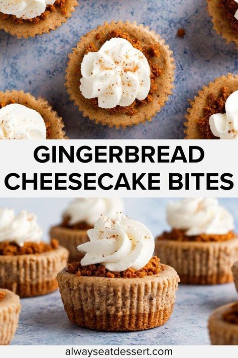 Meet your new Christmas dessert obsession: mini gingerbread cheesecakes! Ultra-creamy, warmly spiced, and nestled in a nutty crust, these individual treats are a flavor explosion. Topped with holiday cheer, they're sure to impress at any festive gathering. Small in size, big on flavor! Mini Cheesecakes Baked, Christmas Finger Food Deserts, Mini Cheesecake Bites Christmas, Cheesecake Shots Mini Desserts, Dessert Small Bites, Small Christmas Dessert Ideas, Desserts In Mini Muffin Tins, Gingerbread Christmas Desserts, Cheesecake Bites Christmas