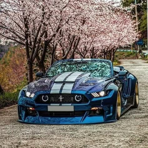 Wide Body Mustang, Ford Mustang 2015, Muscle Cars Mustang, Мотоциклы Cafe Racers, Mustang 2015, Ford Mustang Car, Fast Sports Cars, Ford Mustang Shelby Gt500, 2015 Mustang