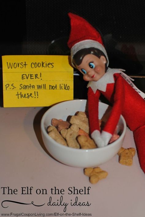 Best Elf on the Shelf Ideas | Elf Eats Dog Treats - Worst Cookies Ever! Daily ideas on Frugal Coupon Living. Homemade Dog Cookies, Elf Cookies, Elf Pets, Puppy Obedience Training, Awesome Elf On The Shelf Ideas, Elf Magic, Positive Dog Training, Daily Ideas, Easiest Dogs To Train