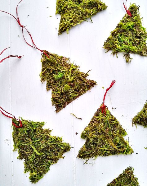 Rustic Moss Christmas Tree Ornaments - StowandTellU.com Moss Christmas Tree, Branch Crafts, Moss Christmas, Navidad Natural, Twig Christmas Tree, Diy Moss, Apple Christmas, Holidays Ideas, Diy Christmas Tree Ornaments