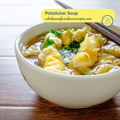 Potsticker soup sounds fancy and it's definitely delicious, but this recipe makes it fast and easy as well! So many beautiful flavors meld together into the savory and robust broth of this Asian style soup. Ours in made even easier by incorporating frozen dumplings instead of painstakingly making your own. You still get delicious results. #postickersoup #asianrecipes #asiancuisine #postickers #souprecipes Resep Makanan Beku, Wonton Soup Recipe, Won Ton, Dumpling Soup, Homemade Dumplings, Best Soup Recipes, Tasty Videos, India Food, Think Food