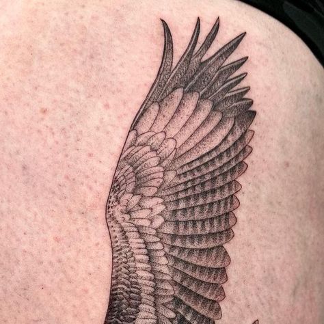 Fine Line Eagle Tattoo, Wedge Tailed Eagle Tattoo, Wedgetail Eagle Tattoo, Eagle Wingspan Tattoo, Fish Eagle Tattoo, Kestrel Tattoo Black And White, Stippling Tattoo, Wedge Tailed Eagle, Melbourne Tattoo