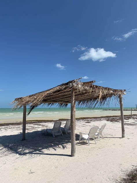 Bamboo Canopy, Havana Beach, Backyard Grill Ideas, Garden Apartment, Backyard Grilling, Beach Cabana, Beach Shack, Bamboo Design, Nice Place