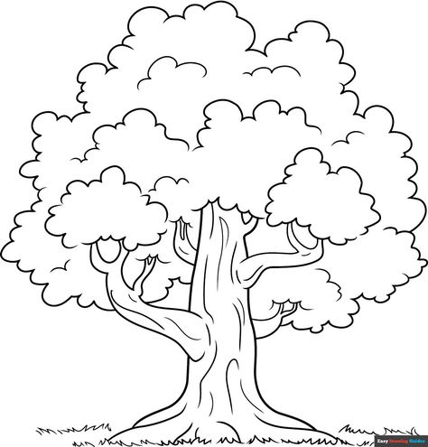 Free, printable tree outline coloring page for kids. Print it out or color it online. https://easydrawingguides.com/coloring-pages/tree-outline/ Printable Tree, Christmas Tree Outline, Outline Pictures, Easy Drawing Guides, Tree Outline, Drawing Guides, Tree Coloring Page, Flower Outline, Kids Print