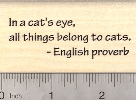 Cat Proverb Rubber Stamp All Things Belong to Cats English Saying -- Continue to the product at the image link. Strong Motivational Quotes, Haha So True, Zen Quotes, Proverbs Quotes, Strong Women Quotes, Caption Quotes, Philosophy Quotes, Advice Quotes, English Phrases