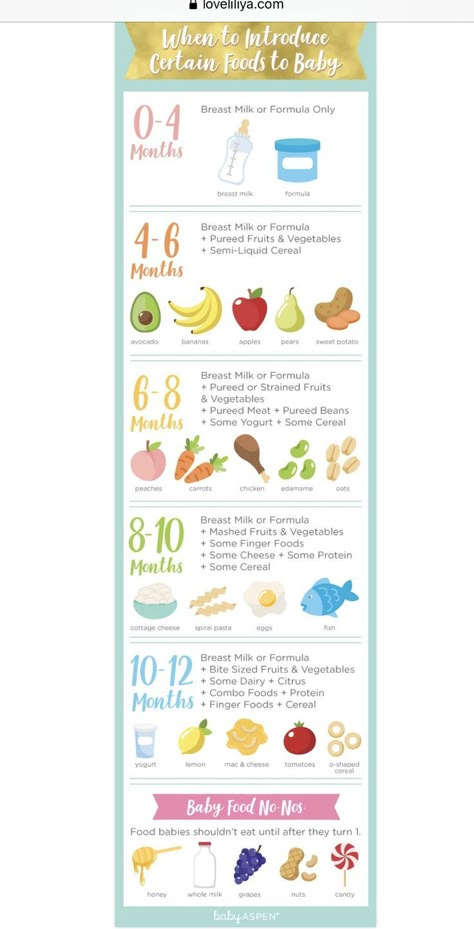 6 Month Puree Schedule, How Much Baby Eats, Puree Schedule, Blw Chart, Baby Food Schedule 5 Month Old, When To Introduce Foods To Baby, 5 Month Old Eating Schedule, Puree Ideas For Babies, Baby Purée Schedule