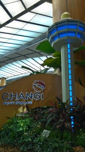 Changi Airport Singapore Aesthetic, Bandara Singapore, Vacation Airplane, Changi Airport Singapore, Singapore Changi Airport, Singapore Tour, Wallpaper Cantik Iphone, Travel Singapore, Singapore Photos