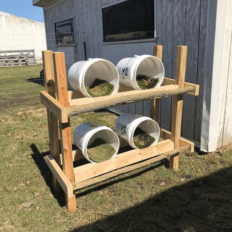 Looking for an alternative way to make nesting boxes? Have you ever considered 5-gallon buckets? If so, this blog is for you. Chicken Run Ideas Diy, Chicken Laying Boxes, Nesting Boxes Diy, Chicken Roost, Meat Birds, Raising Chicks, Chicken Nesting Boxes, Chicken Tractors, 5 Gallon Buckets