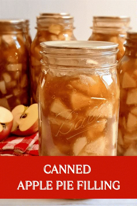 Amish Canned Apple Pie Filling Recipe Canning Cabbage, Canning Apple Pie Filling, Apple Pie Filling Recipe, Canned Apple Pie, Canning Apples, Homestead Cooking, Apple Pie Filling Recipes, Canned Apple Pie Filling, Best Apple Pie