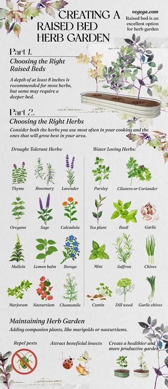 #gardentips #gardenhacks #gardening Urban Herb Garden, Fall Gardening Tips, Tea Plants Garden, Tea Herb Garden Layout, Herb Garden List, Herbal Garden Design Landscapes, Herb Tea Garden, Grow Herbs At Home, Herb Garden Bed Ideas