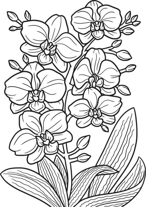 Kraken Art, Orchid Drawing, Coloring Pages For Teenagers, Coloring Page For Adults, Flower Outline, Detailed Coloring Pages, Cars Coloring Pages, Pokemon Coloring Pages, Coloring Page Ideas