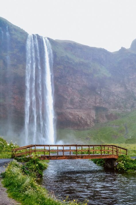 Iceland Countryside, Iceland Seljalandsfoss, Iceland Places, Iceland Aesthetic, Homework Inspiration, Iceland Fashion, Iceland Pictures, Ice Land, English Essay