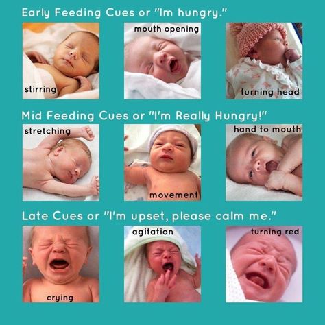 Babies cues in hungry and angry Feeding Cues, Pinterest Baby, Baby Trivia, Baby Routine, Newborn Baby Tips, Newborn Mom, Baby Information, Baby Life Hacks, Baby Facts