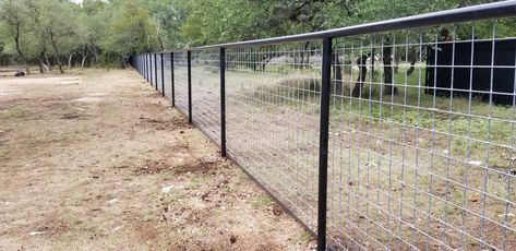 Pictures of Cattle Panel Fencing or Livestock Fencing - Austin, TX Pipe Fence Ideas, Dog Yard Fence, Livestock Fencing, Cattle Panel Fence, Goose Pond, Wire Fence Panels, Hog Wire Fence, Backyard Fencing, Fodder System