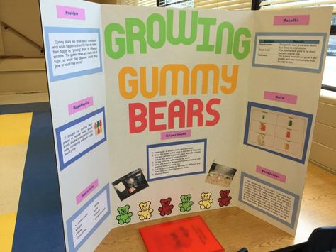 Gummy Bear Science Project, Gummy Bear Osmosis, Gummy Bear Experiment, Kids Science Fair Projects, Elementary Science Fair Projects, Science Fair Projects Boards, Elementary Stem, Cool Science Fair Projects, Science Boards