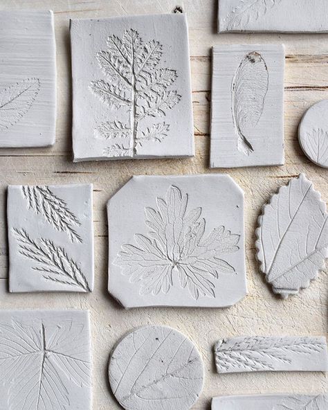 Clay Lesson, Stone Art Painting, Ceramic Texture, Leaf Texture, Textured Canvas Art, Fall Crafts For Kids, Ceramics Ideas Pottery, Diy Clay Crafts, Nature Crafts