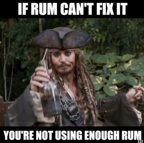 Sparrow Quotes, Jack Sparrow Funny, Captain Jack Sparrow Quotes, Jack Sparrow Quotes, Funny Mean Quotes, Ice Chest, Captain Jack Sparrow, Oak Island, Captain Jack