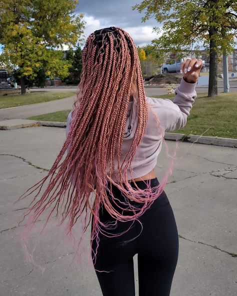 Booking Now available #edmonton #edmontonblackbusiness #edmontonbraids #knotlessbraids #goddessbraids #bohobraids #humanhair #curls #trending #queenmercyhair #sherwoodpark #b #viral Pink Twists, Pink Braids, Boho Braids, Goddess Braids, Black Business, Pastel Pink, Human Hair, Braids, Fashion Inspo