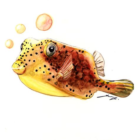 Watercolor Painting Boxfish 2013 | Yung Watercolor Puffer Fish, Boxfish Drawing, Boxfish Tattoo, Painting On Clay, Watercolor Sea Creatures, Sea Drawing, Sea Illustration, Learn Watercolor Painting, Coral Art