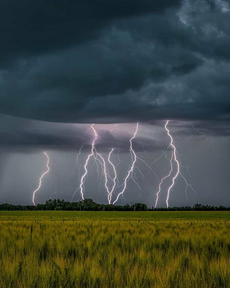 *🇨🇦 Lightning (Alberta) by Mark Jinks (@markjinksphoto) • Instagram 🌾⚡️ Apr-24-2021 / Mar-28-2022 Thunder Photography, Lighting Storms, Gloomy Weather, Weather Science, Storm Art, Storm Photography, Photography Genres, World Wallpaper, Lightning Storm