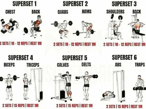 GitFit Zone Community Gym - Full Body Superset Full Body Superset Workout, Full Body Workout At Gym, Exercises In The Gym, Superset Workout, Workout At Gym, Dumbbell Fly, Calf Machine, Dumbbell Curls, Barbell Squat