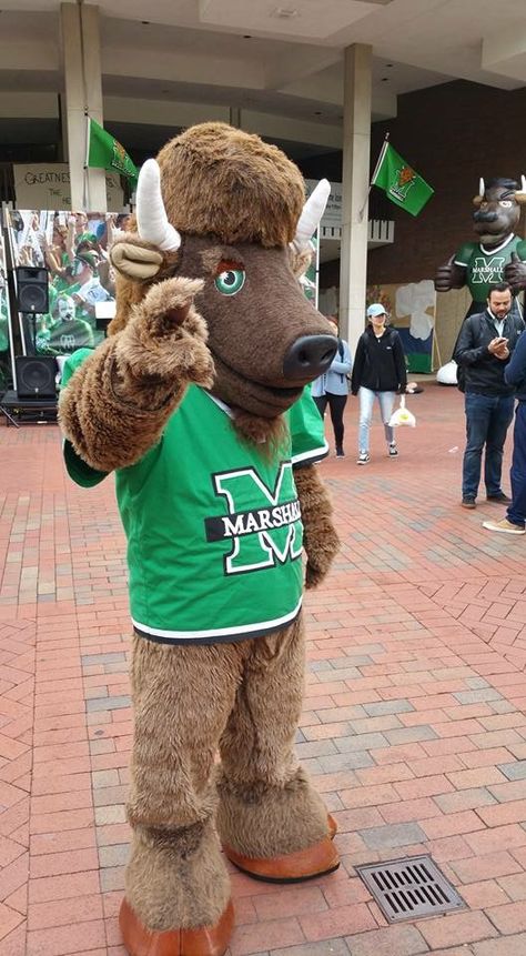 Marshall Football, University Aesthetic, Marshall University, 2025 Vision, My Heritage, Dream Board, Cute Crafts, West Virginia, Virginia