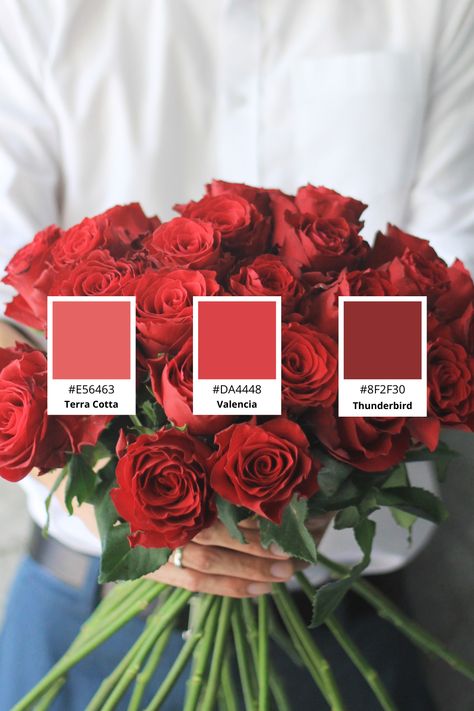 Searching for a color palette to revamp your feed? Red roses color palette perfect for business with red velvet colors identity. Save this pin for later and to remember the hex codes you can use. #colorpalette #instagramdesign #colorwheel Roses Color Palette, Palette Inspiration, Hex Codes, Red Rose Flower, Neutral Undertones, Velvet Color, Instagram Design, Color Wheel, Rose Color