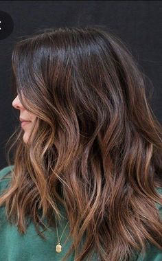 15 Autumn/fall hair trends ideas in 2022 Minimal Hair Highlights, Dynamic Brunette Hair Color, Warm Brown Lowlights, Minimal Highlights Hair Brunettes, Balayage For Indian Skin Tone, Hair Colour For Indian Skin, Highlights 2024, Coco Hair, Balayage Hair Caramel