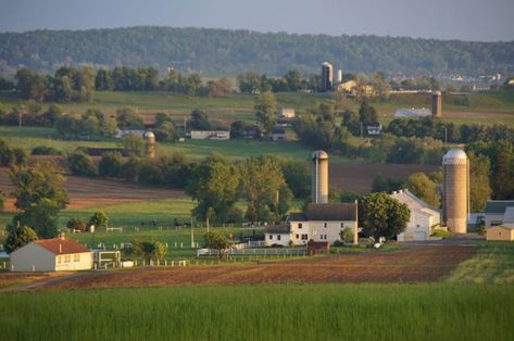 The Unique Tour That Will Take You Deep Into Pennsylvania Amish Country Like Never Before Amish Country Lancaster Pa, Pennsylvania Photography, Amish Country Pennsylvania, Amish Country Ohio, Amish Pennsylvania, Fancy Farm, Pennsylvania Dutch Country, Amish House, Amish Culture