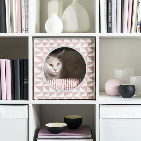 Our Top 9 Rules for Styling Cube Shelves - TLC Interiors Ikea Cat, Cat Cube, Kallax Shelving Unit, Cube Shelf, Long Floating Shelves, High Beds, Cube Shelves, Kallax Ikea, Old Boxes