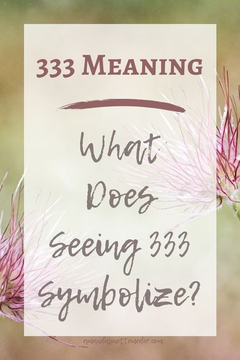 Seeing Angel Number 33, 333, or 3333? Learn the 333 spiritual meaning - photo of three Wispy Flowers by Pezibear from Pixabay upclose, along out of focus green and brown light with text overlay 333 Meaning - What Does Seeing 333 Symbolize? 3333 Meaning, 333 Spiritual Meaning, 333 Angel Number Meaning, What Does 333 Mean, 333 Meaning, Angel Numbers 333, 333 Angel Number, Numerology Compatibility, Numerology Calculation