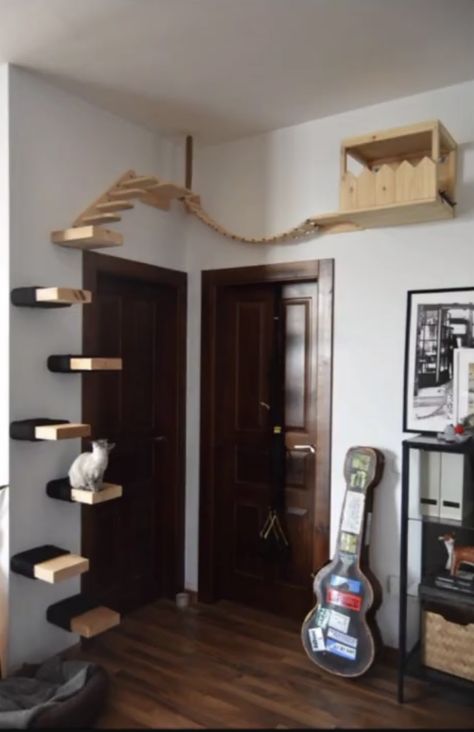 Cat Bedroom Ideas, Cat Playground Diy, Homemade Cat Beds, Bed Wall Mounted, Cat Bed Ideas, Diy Cat Shelves, Cat Walkway, Diy Climbing Wall, Cat Habitat