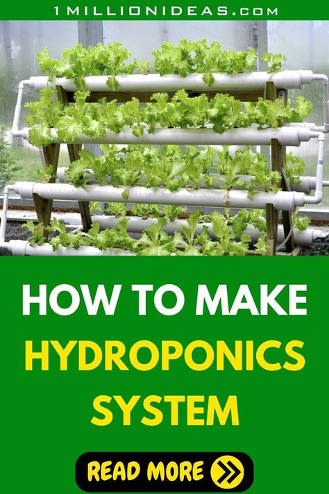 Plants Without Soil, Diy Hydroponics, Hydroponics Diy, Hydroponics System, Pvc Pipe, Growing Plants, Hydroponics, Easy Steps, Easy Step