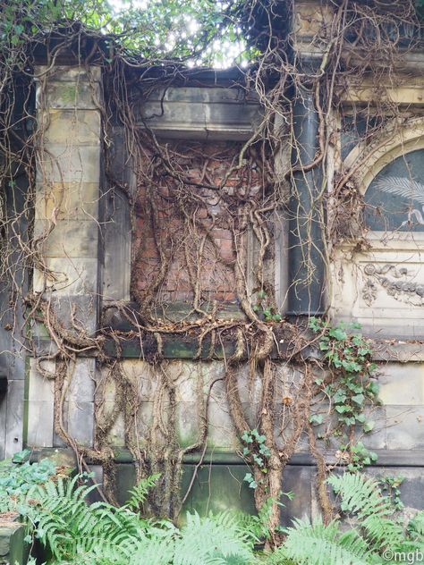 Abandoned Garden, Jewish Cemetery, Future Architecture, Wroclaw Poland, Lehenga Blouse, Wroclaw, Built Environment, Style Board, Cemetery