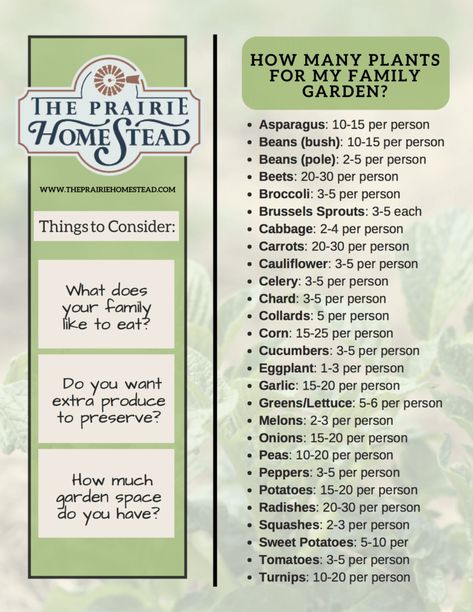 how much to plant in your garden per person to feed your family Plantarea Legumelor, Prairie Homestead, Survival Garden, Homestead Gardens, Victory Garden, Organic Vegetable Garden, Survival Gardening, Family Garden, Organic Gardening Tips