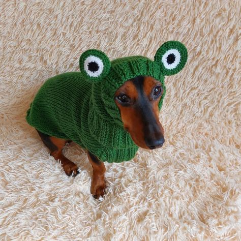 Exclusive handmade clothing for pets. Dachshund ideal knitted clothing. Order on the website dachshundknit.com #dachshundclothes #dachshundknit #dachshundlove #dachshundhat #dogknits #dogsweater #dogswearingclothes #dogclothes #dogclothing #dogjumper #doggiftideas #doggifts #petclothes #petclothing #petcostume #petgifts #dogmamgift #dachshundgift#dogwoolsweater #dogknit #dogknitting #dogknits #doglovers #dachshund #dachshundsofinstagram #dachsundpuppy #sausagedog #sausagedogsofinstagram#dogk... Dachshund Clothes, Dog Outfits, Dog Mommy, Knitted Clothes, Dog Jumpers, Dachshund Gifts, Pet Sweater, Handmade Clothing, Dachshund Love