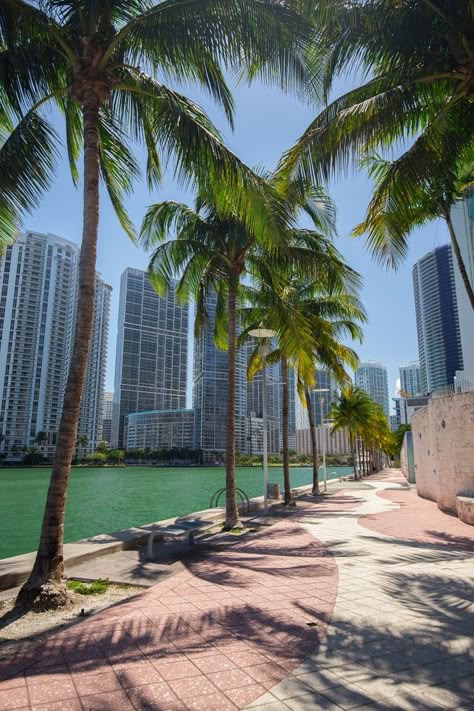 Where To Stay In Miami, Miami Travel Guide, Miami Vacation, Miami City, Miami Travel, Miami Life, Miami Beach Florida, Miami Florida, Fort Lauderdale