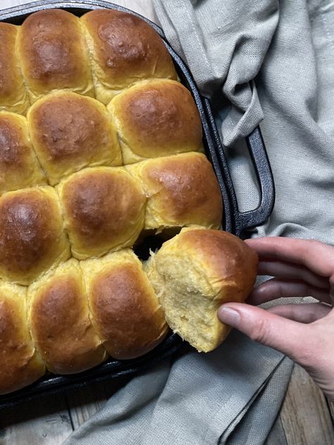 Butternut Squash Buns, Butternut Squash Dinner Rolls, Butternut Squash Rolls, Squash Rolls, Honey Nut Squash, Butternut Squash Dinner, Squash Dinner, Lemon Zucchini Bread, Potato Rolls