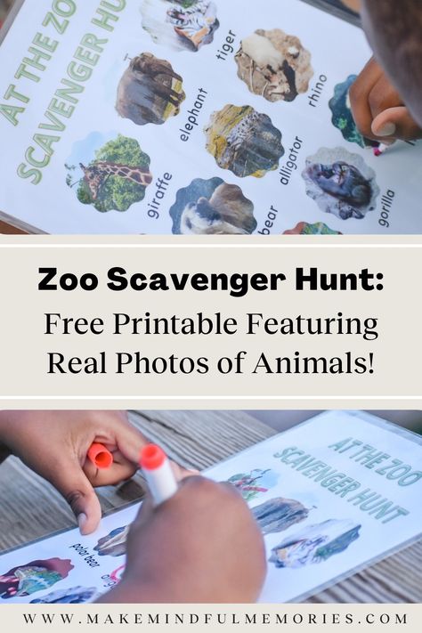 Zoo Scavenger Hunt Printable, Zoo Scavenger Hunt, Real Life Photos, Scavenger Hunt Printable, Photos Of Animals, Real Animals, Houston Zoo, Preschool Letters, Creative Template