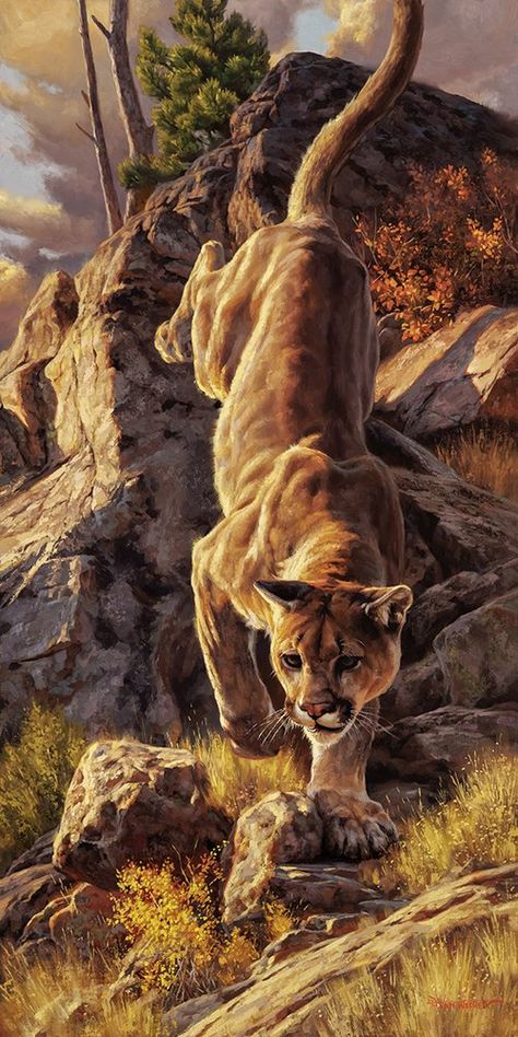 Arte Ganesha, Mountain Lions, Hunting Art, Wildlife Artwork, Wild Animals Pictures, Big Cats Art, Wildlife Paintings, Mountain Lion, Wildlife Artists