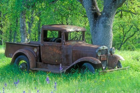 Free Shipping. Buy A Rusting 1931 Ford Pickup Truck Sitting in a Field under an Oak Tree Print Wall Art By John Alves at Walmart.com