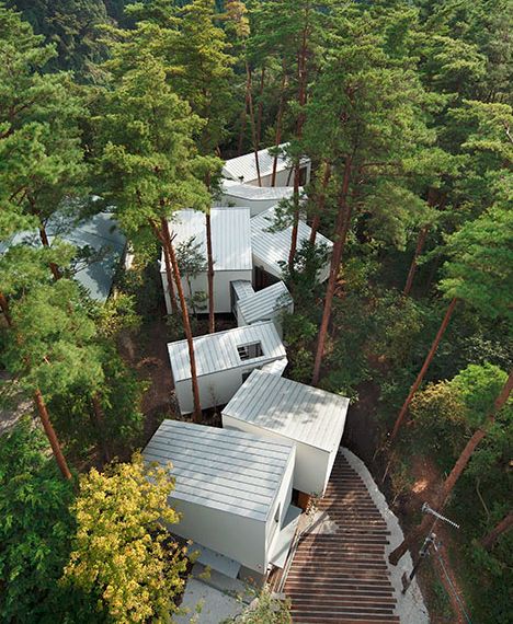 forest house site approach Modern Japanese House, Japanese House Design, Traditional Japanese House, Japan Architecture, Tottori, Modern Japanese, Japanese Architecture, Forest House, Japanese House